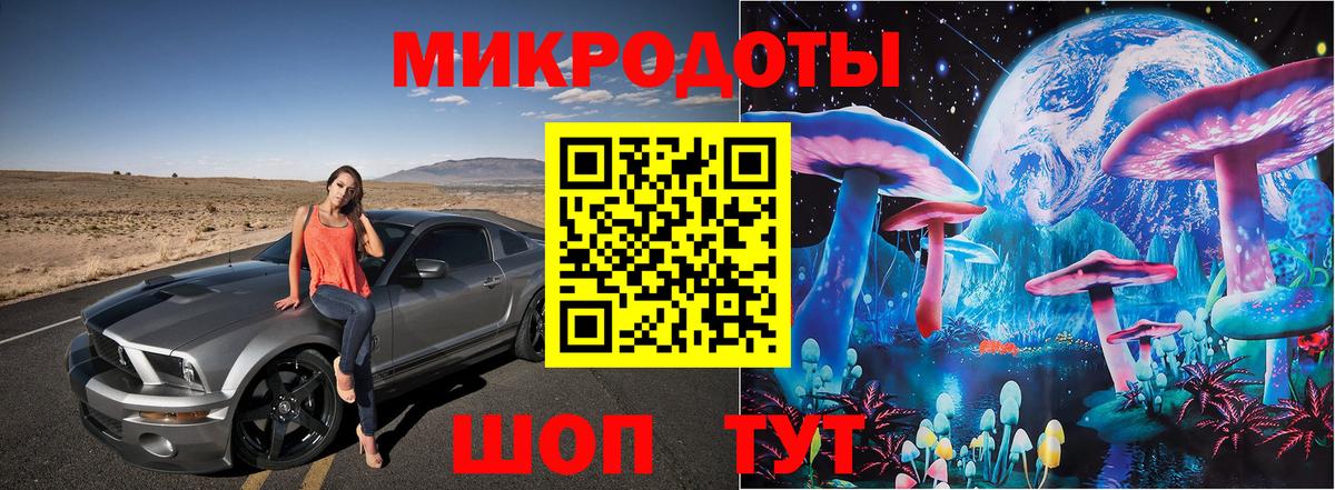 Галлюциногенные грибы Psilocybe Нижнекамск